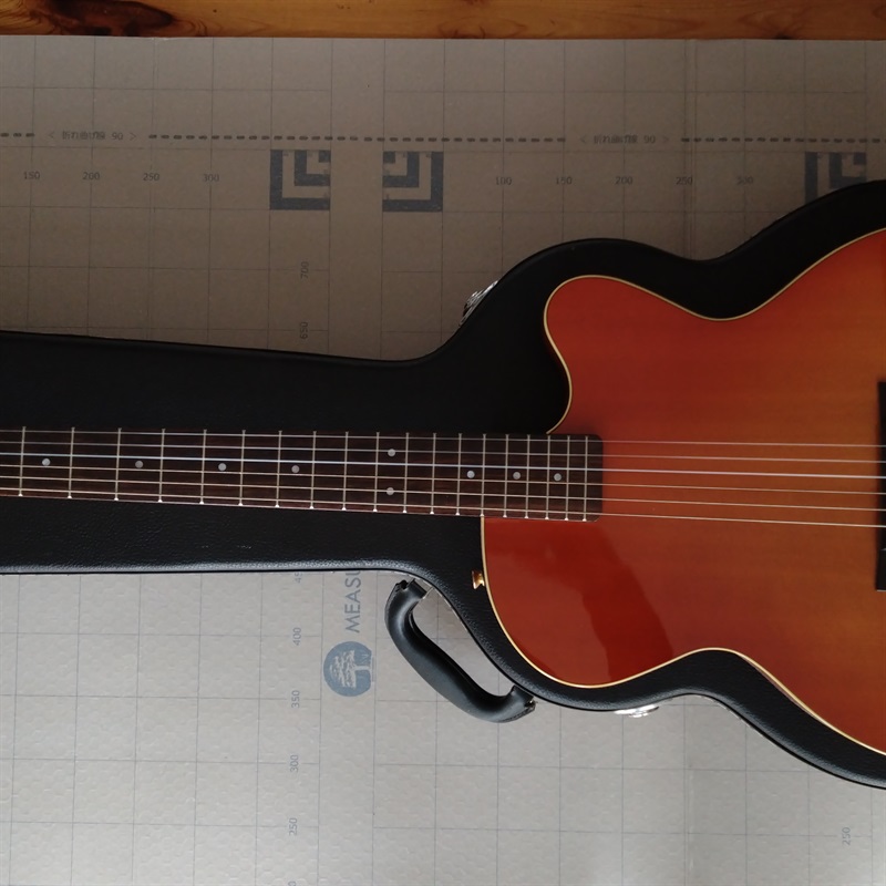 YAMAHA AEX500NSの画像